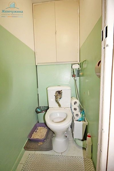 2-к квартира, 52 кв.м.
