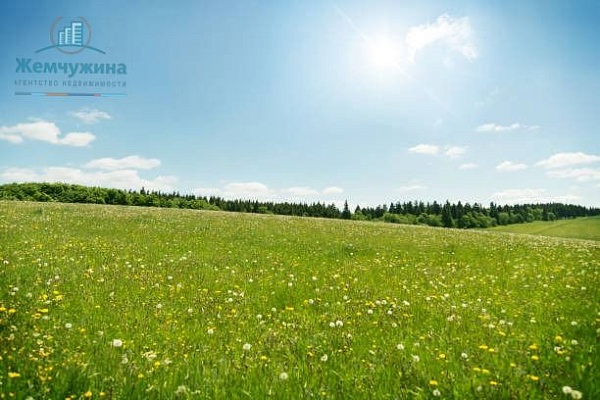 Участок 10 соток в Бирля с, Базарная ул в Димитровграде