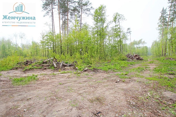 Участок 10 соток в Димитровград, Западное ш, 2062 в Димитровграде