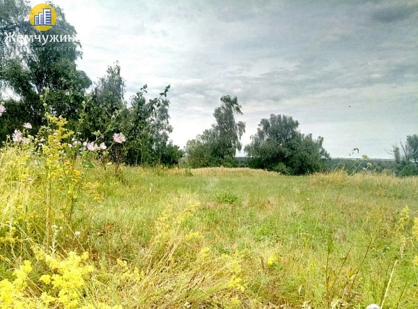 Участок 14.9 соток в Никольское-на-Черемшане с, Ленина ул, 145а в Димитровграде