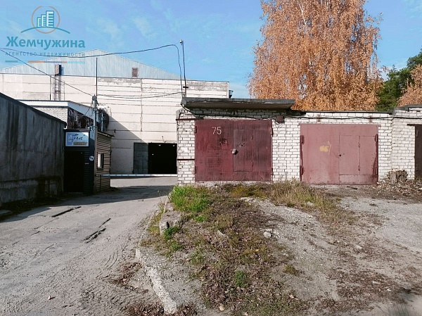 Бокс