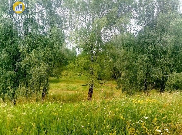Участок , 14 сот.